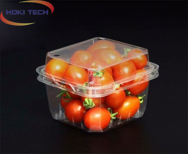 Hộp nhựa P250A đựng trái cây - bán hộp nhựa giá rẻ